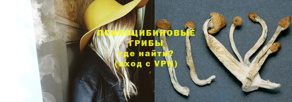 спиды Алексеевка