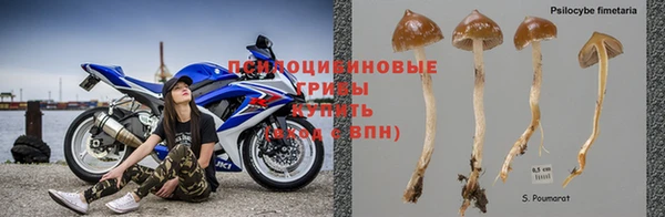 спиды Алексеевка