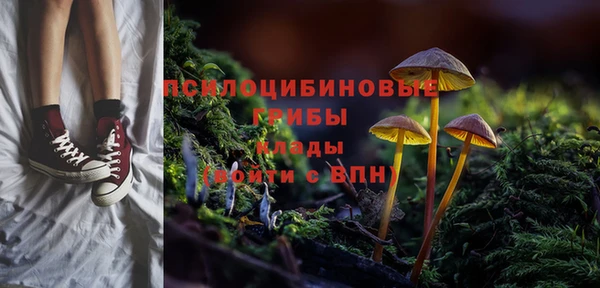 спиды Алексеевка